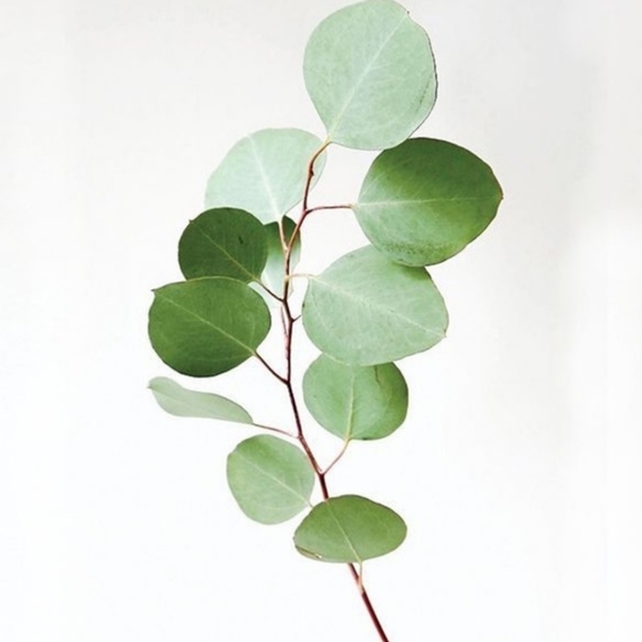 Avenue 18/20 Tunic - Picture 7 of 7